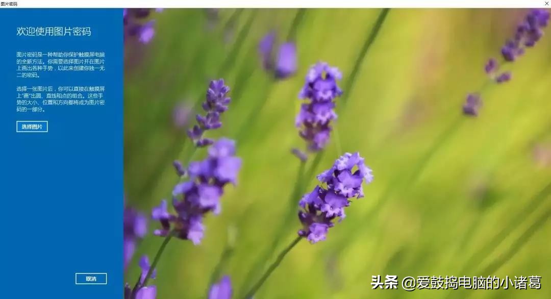 太多人都不知道Win10可以用图片作为开机密码?快进来学习下!