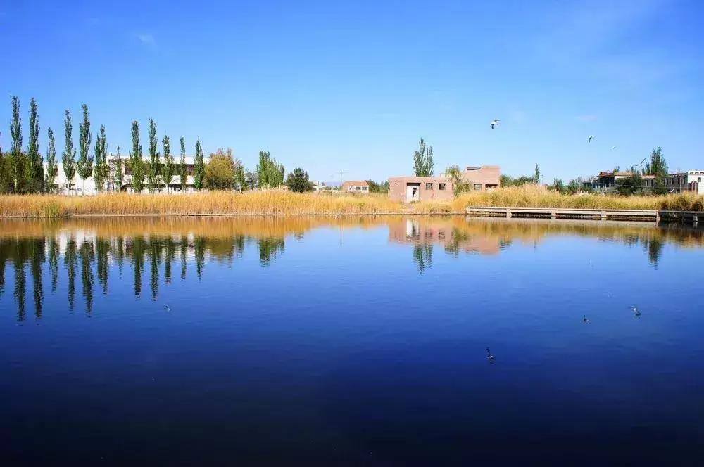 天津飞机票如何买便宜,飞机票白菜价格