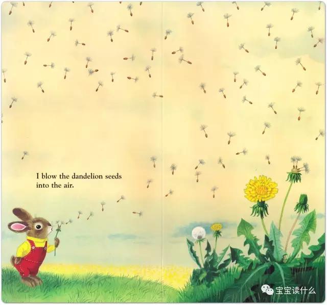 iamabunny作者,iamabunny歌曲