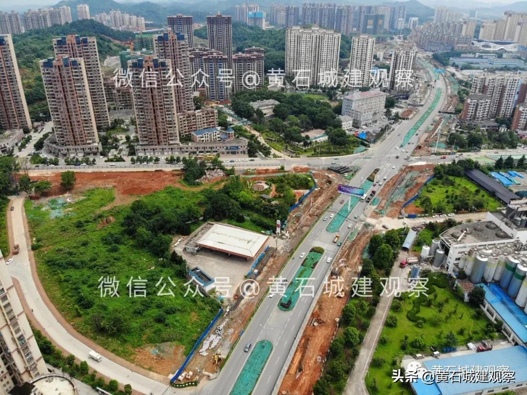 凤凰变野鸡,凤凰变野鸡完整版