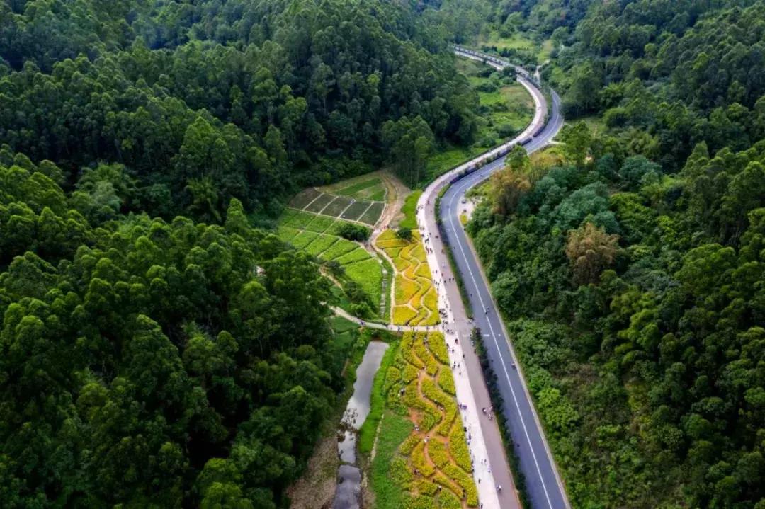 庆祝新中国成立70周年新闻报道,庆祝新中国成立70周年特辑宣讲