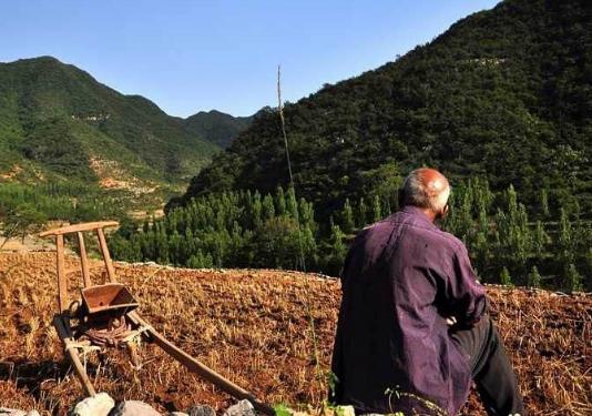 在那个困难又不缺少温情的年代，*靠我**捡麦穗买了第一双运动鞋！