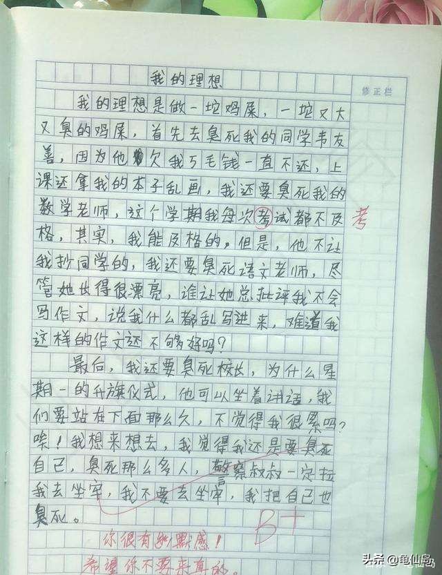 我的梦想是当一名医生小学生作文,小学作文我的理想是做一坨鸡屎