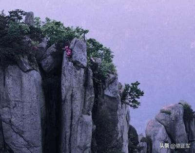 南轩传奇（长篇小说连载之二十一）