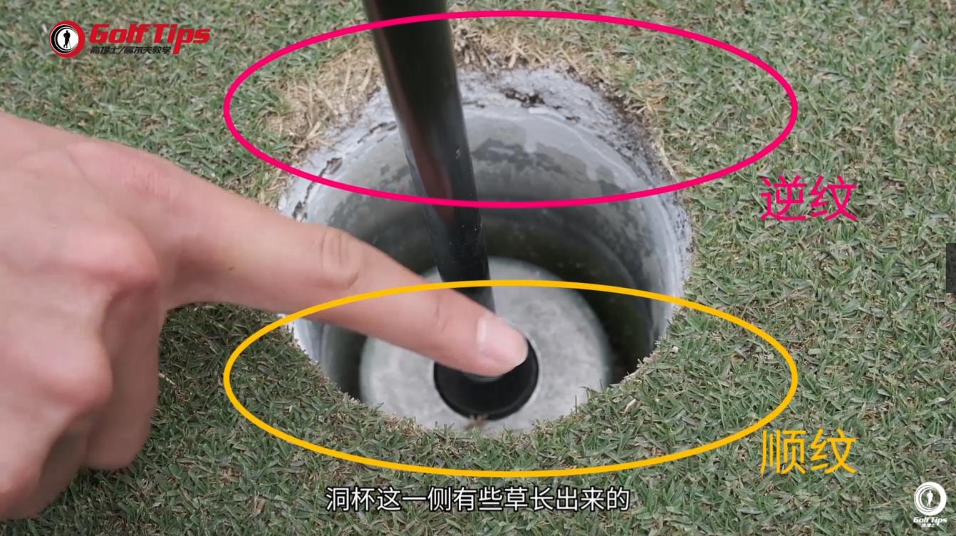 高尔夫球教学读懂果岭视频,果岭快慢区分