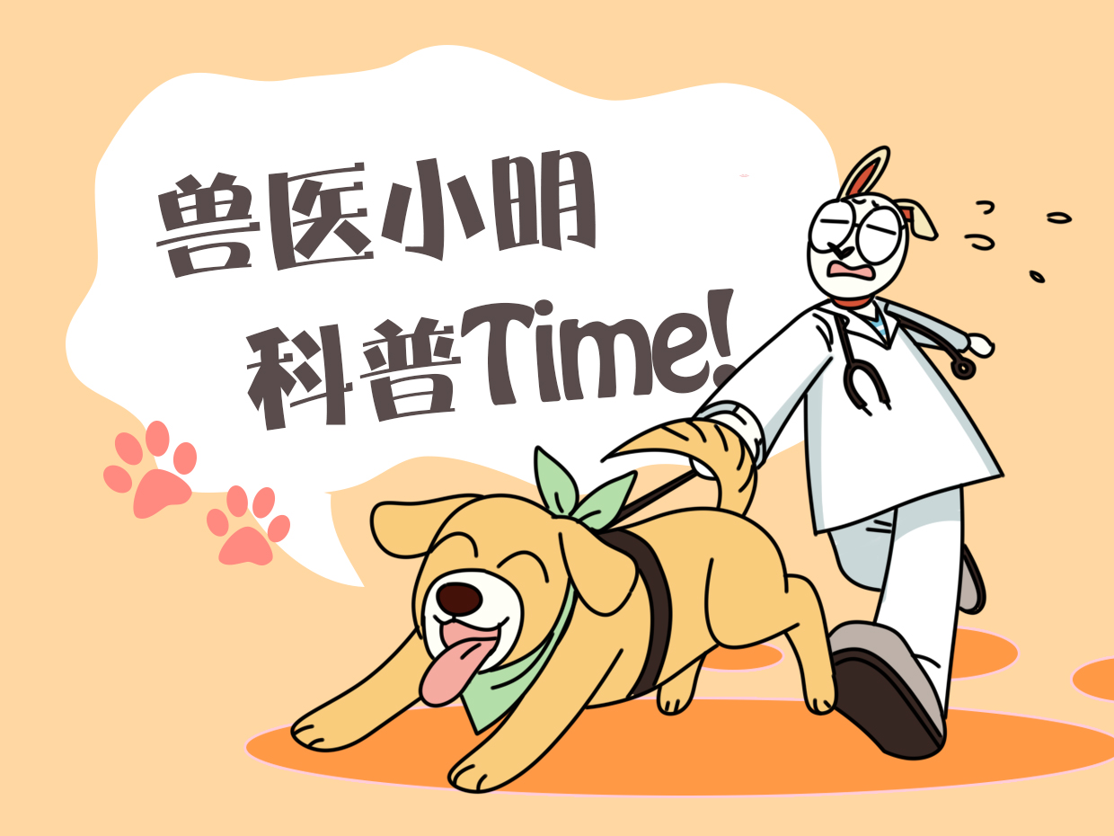 狗耳朵里面长了个肉球,狗耳朵长蜱虫