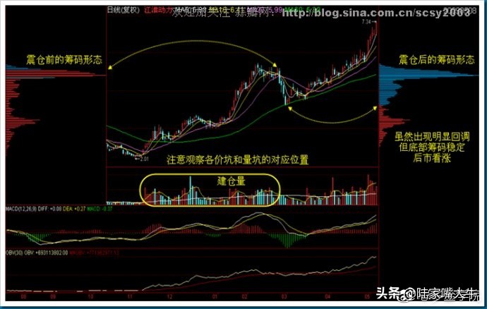 筹码分布战法全套讲解,筹码分布运用详解大全