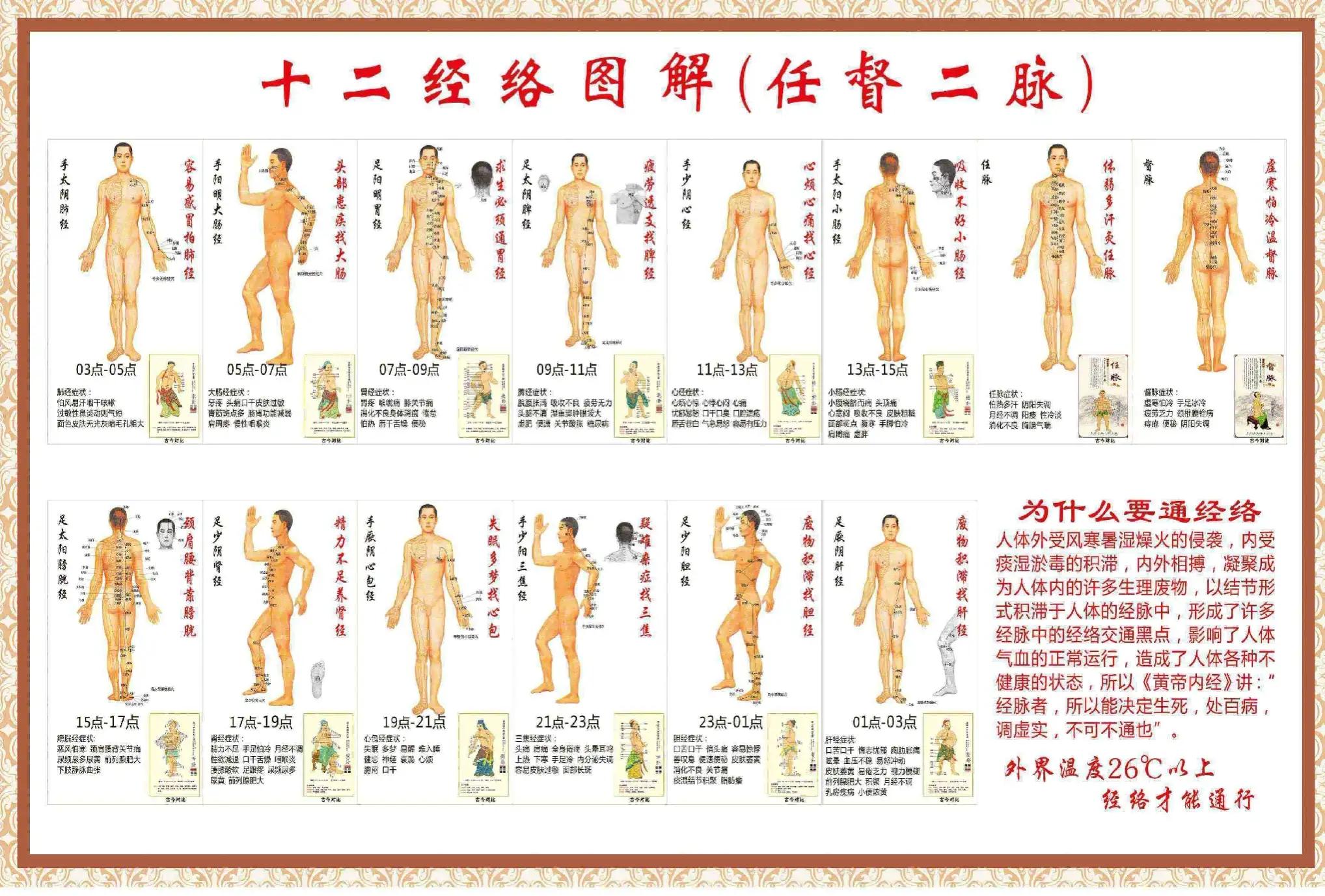 人体经络医学,经络与身体关系