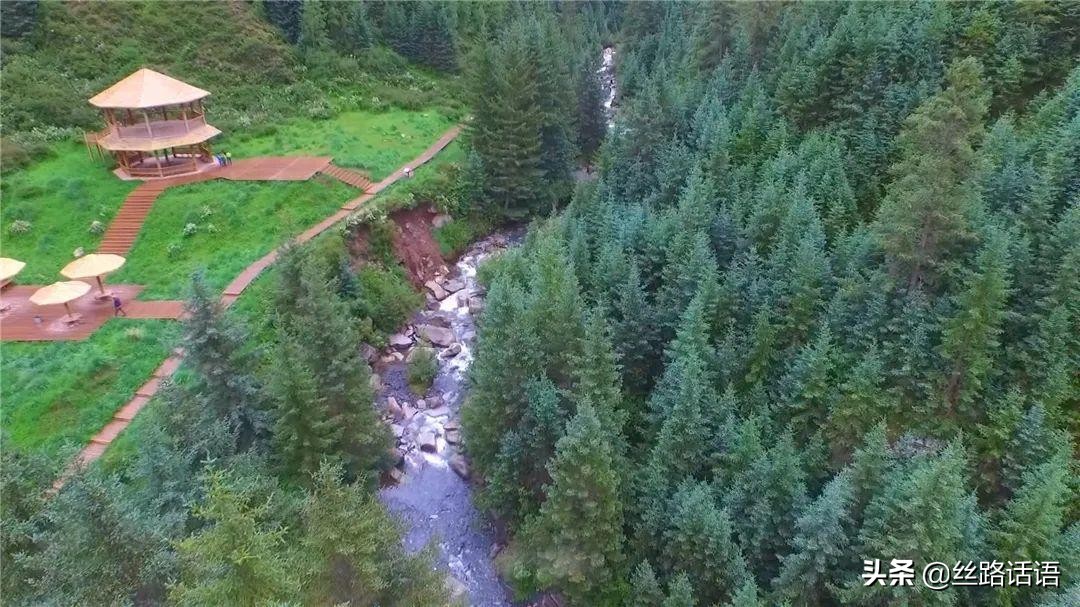 春暖花开等你来赏花,春暖花开等你来赏花原唱视频