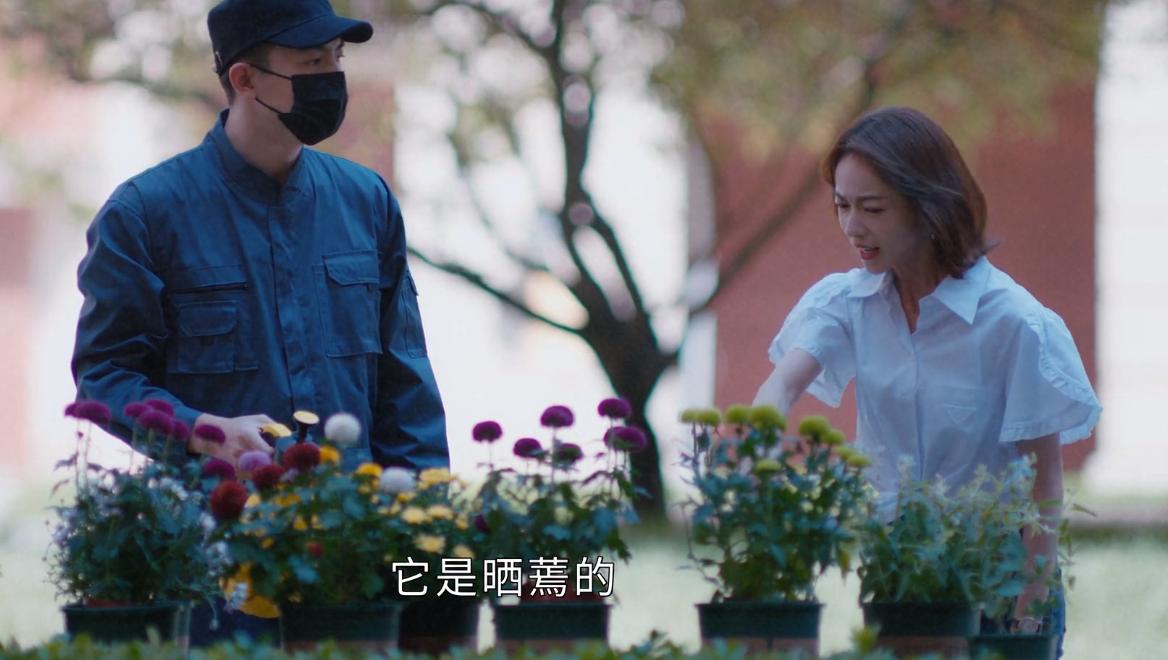 林更新差评视频,林更新新剧吐槽