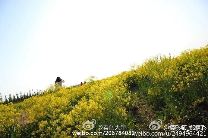 静海，你给天津争光了