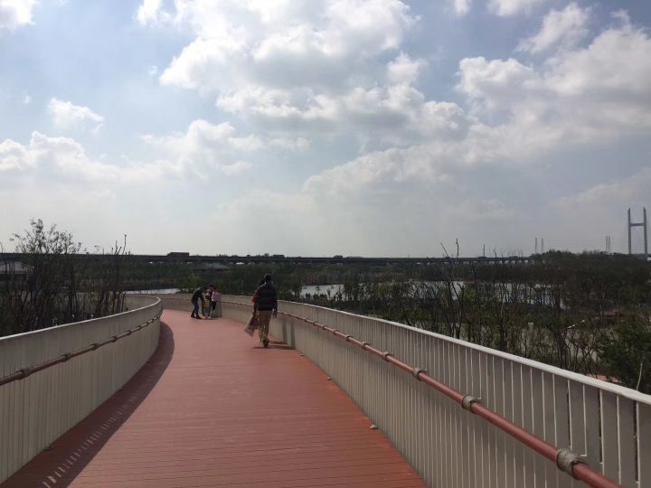 上海浦江附近好玩的地方,上海浦江镇最繁华的地方