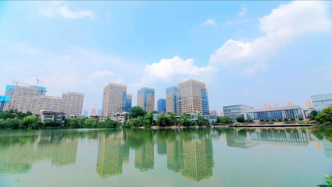 光谷软件园美景,这样的新科技你见过吗