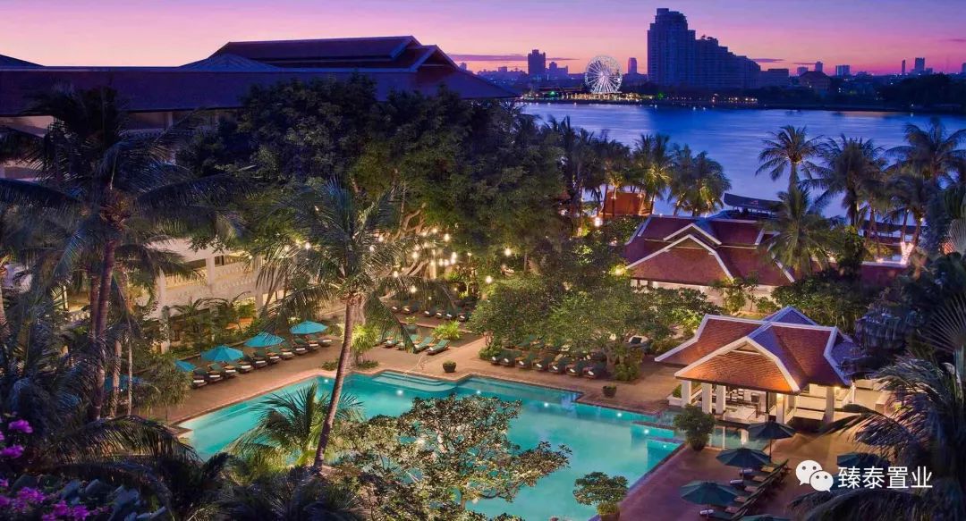 暹罗斗鱼——色与美的战舞