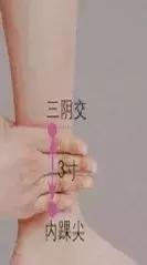 艾草艾灸的正确方法,艾草艾灸驱虫