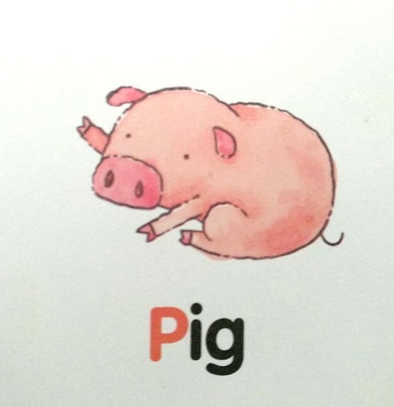 别再被英文培训班误导了，这才是真正的自然拼读