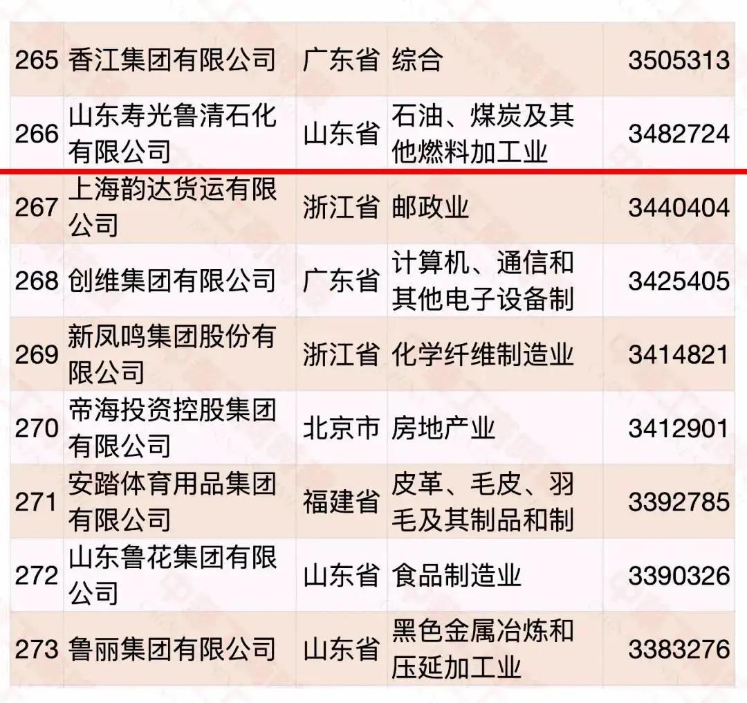 鲁清石化龙头企业,鲁清石化是国企还是民营