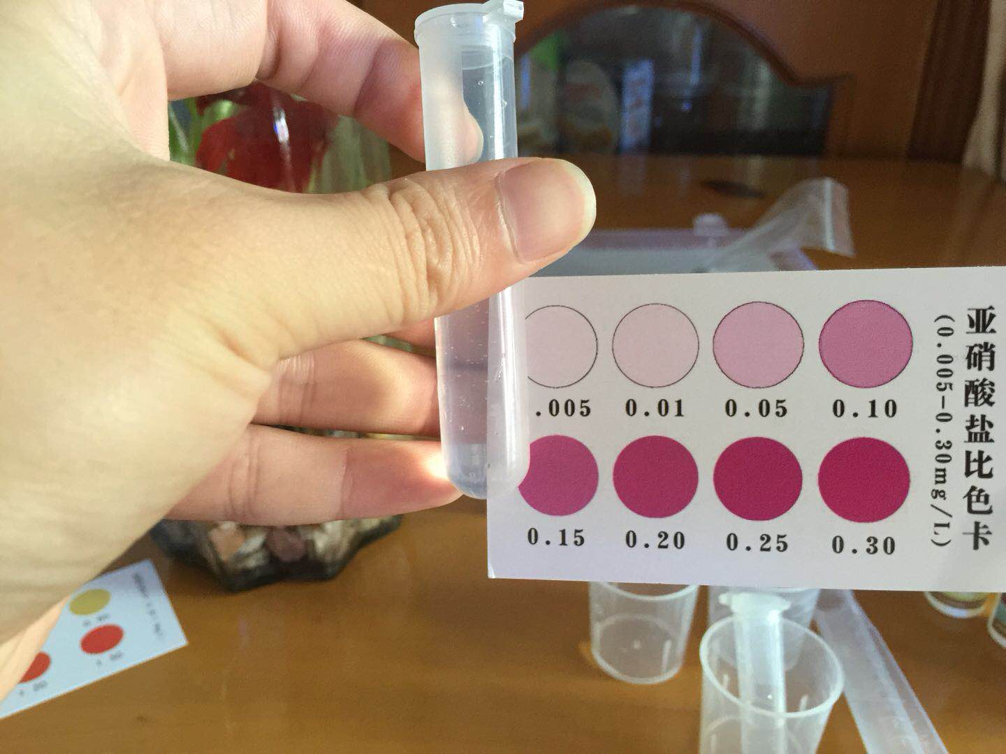 只要一点水就可以养活的植物,绿萝养斗鱼