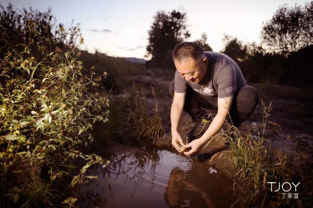 雪花秀人参水乳韩国本土,雪花秀有人参的护肤品好用吗