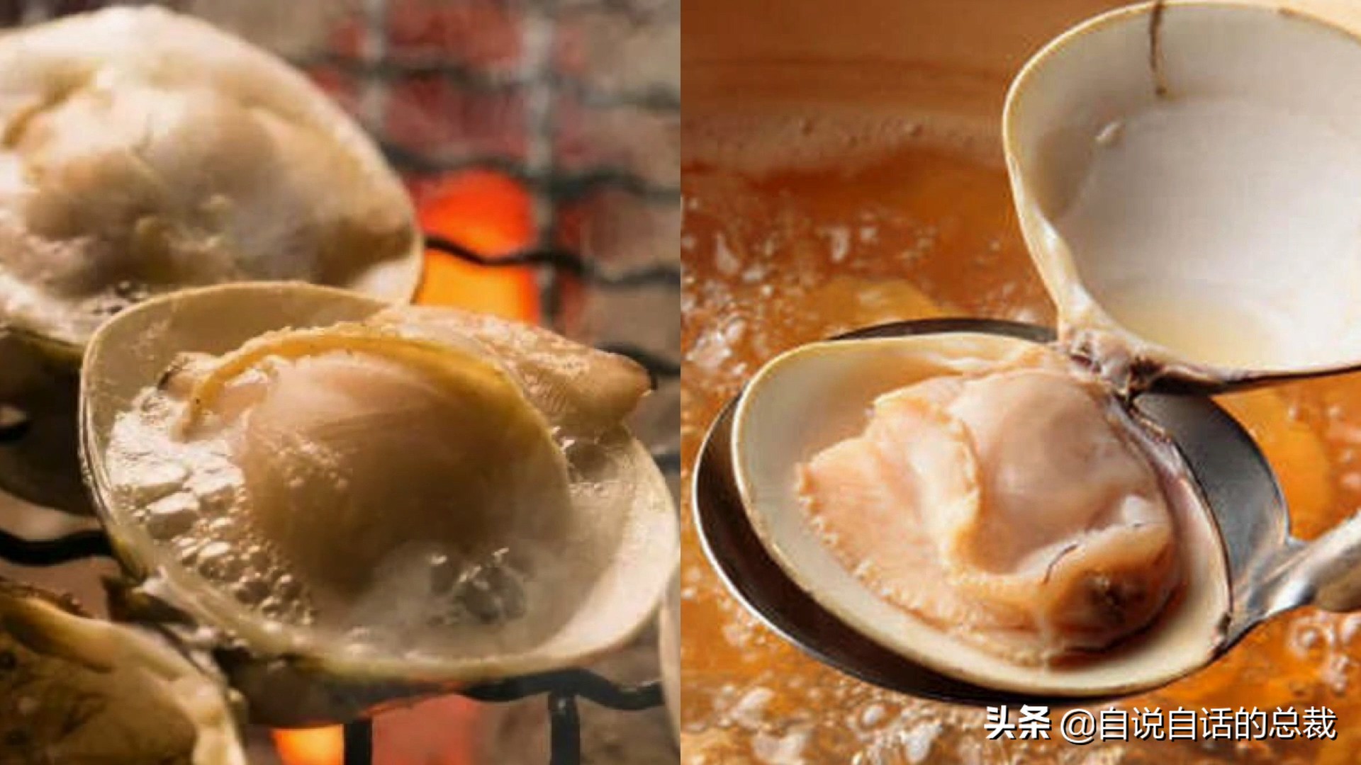 海鲜蛤蜊与蛤蜊区分,蛏子与小人蚬的区别