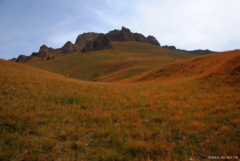 狼c调简谱教唱,狼c