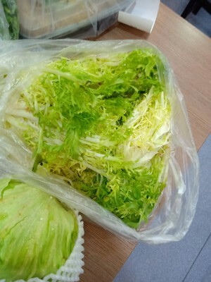 有机蔬菜种植技术大全,种植有机蔬菜怎样选择肥料