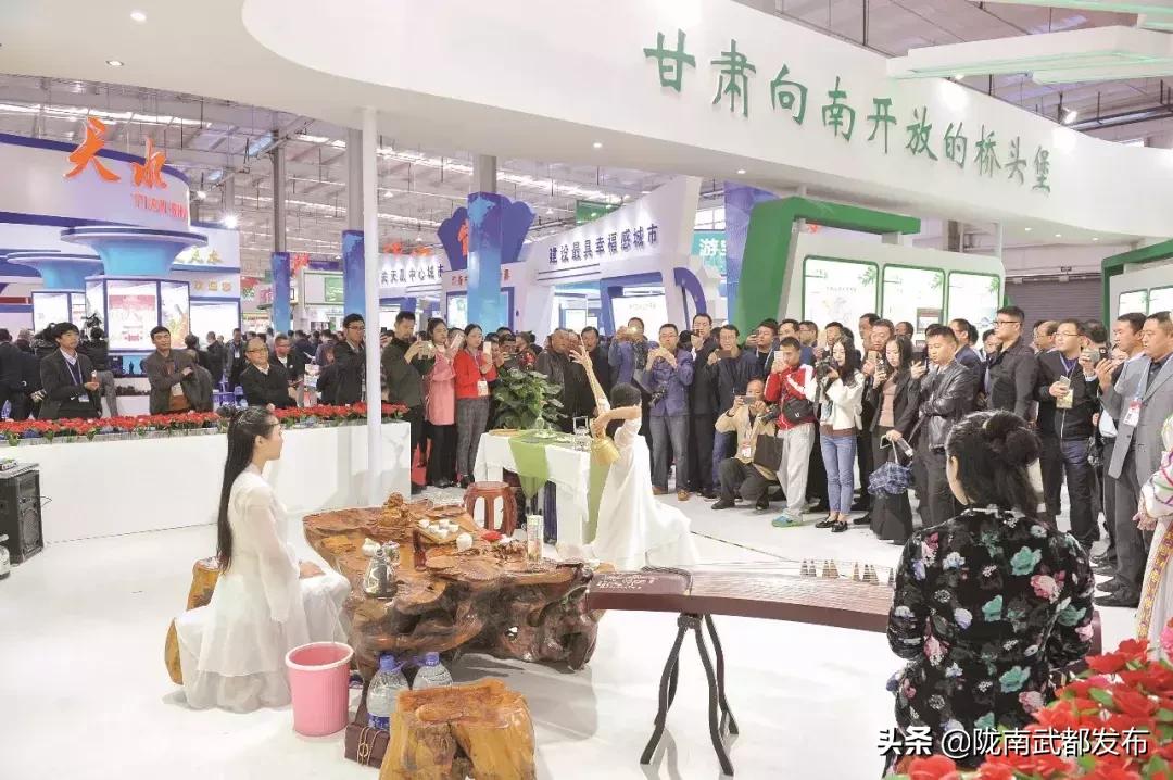 陇南市推动高质量发展的举措,陇南市发展战略