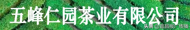 助茶农渡难关,宜昌春茶“百圆惠”上市