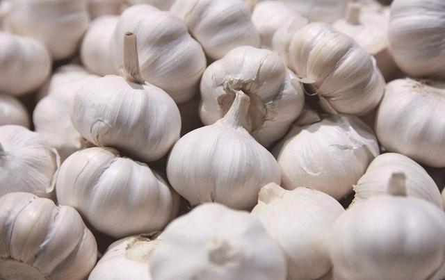 今天大蒜价格多少钱一斤?2019年5月全国大蒜最新价格行情分析