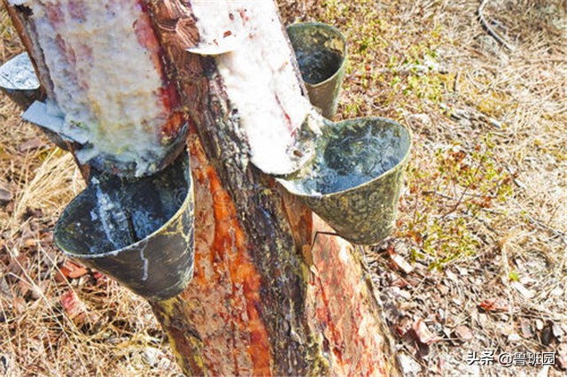 树脂如何变成哑光,树脂怎样才能变成琥珀