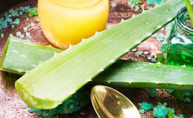 芦荟护肤的最佳方法,新鲜芦荟真的可以祛痘痘印吗