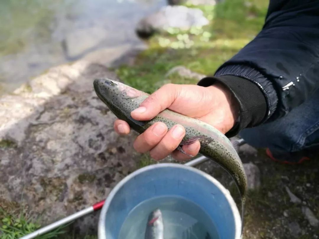15天8000里，我们刚去名古屋和日本人抢了个五一假期