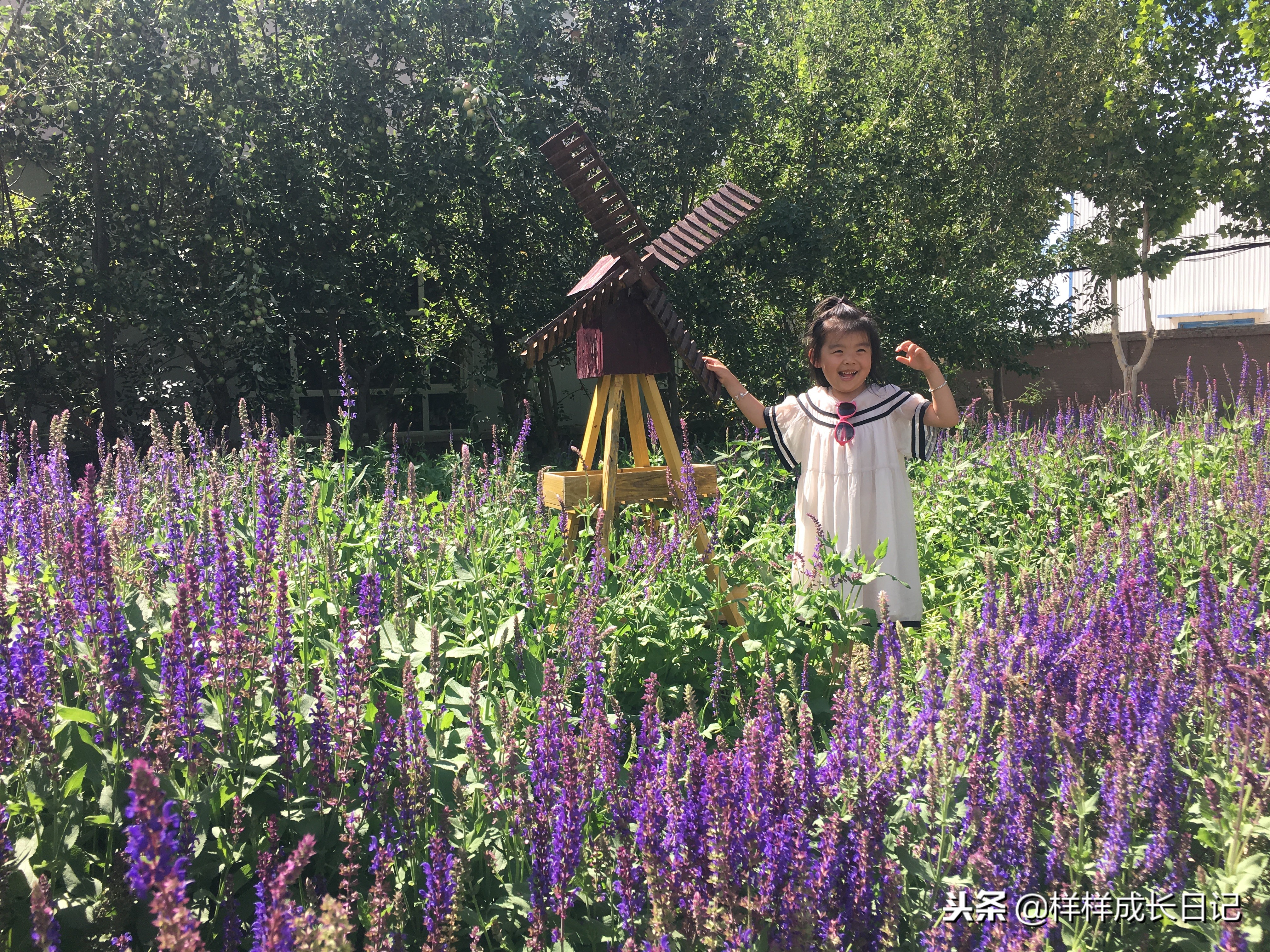 一家三口新疆伊犁旅游,自驾游霍尔果斯路线攻略