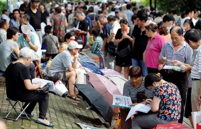 12生肖最有影响力的是什么,12个生肖的天大秘密