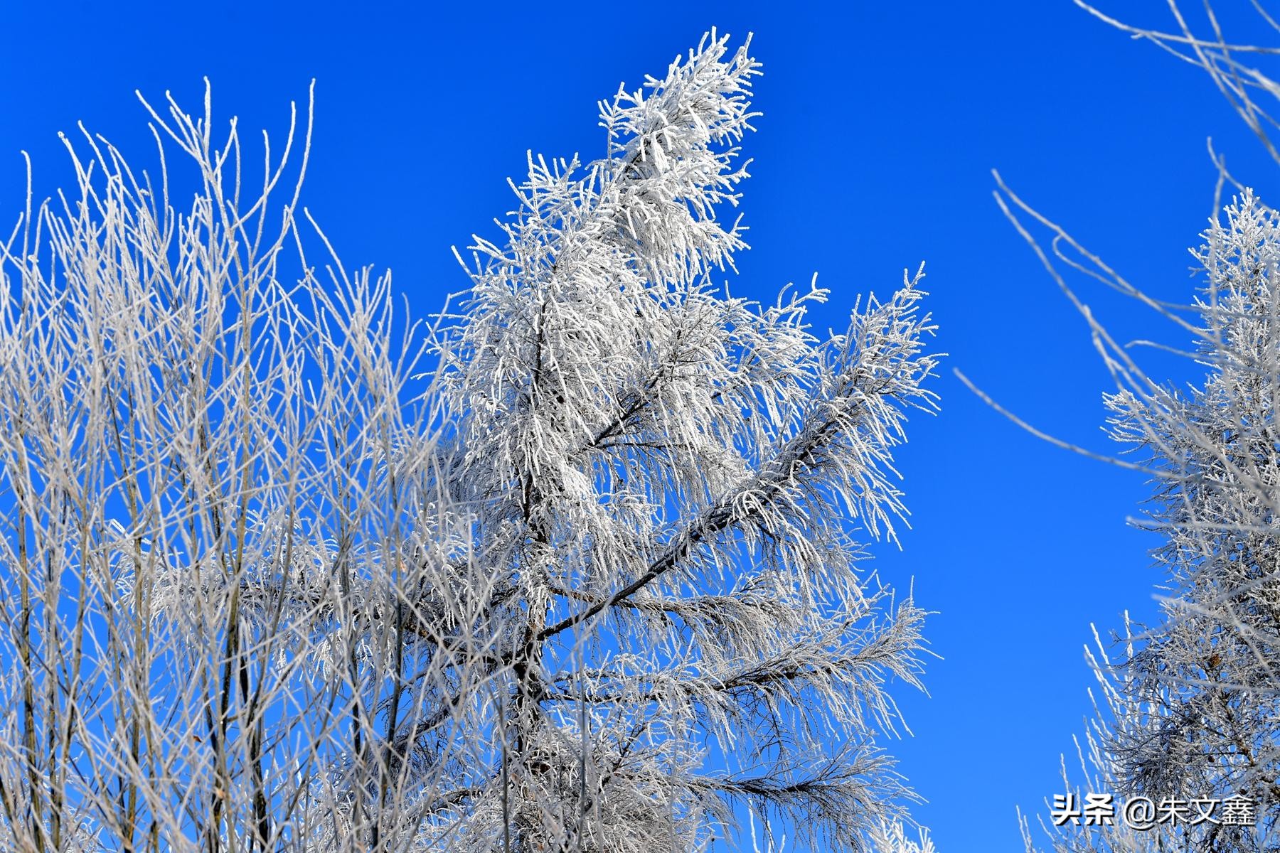 吉林柳河市内景点,吉林柳河冬天