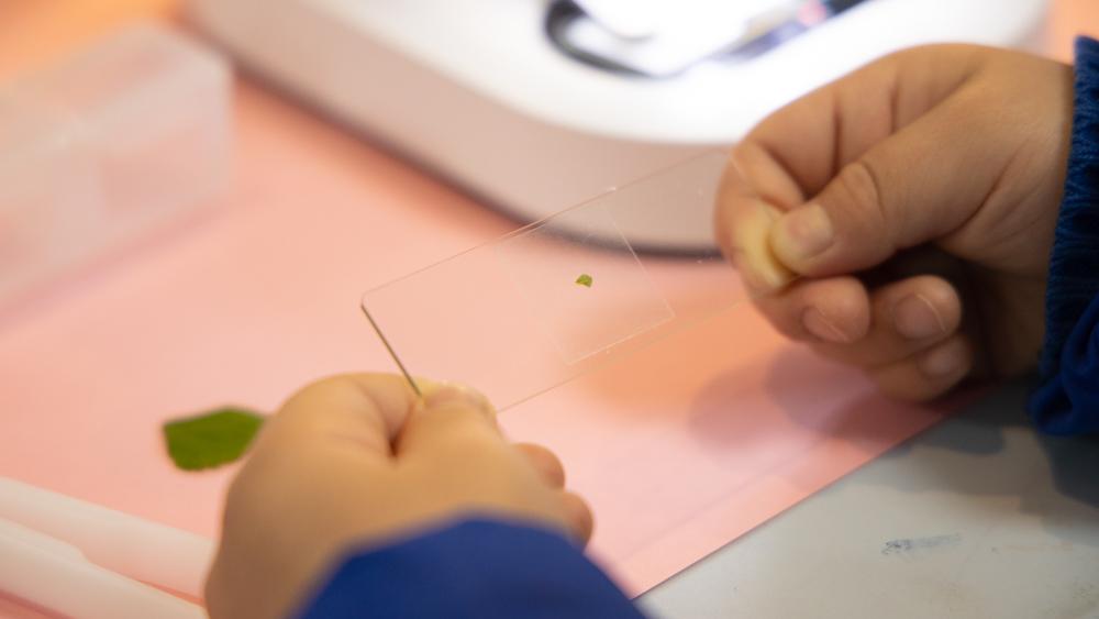 当当狸智能显微镜儿童便携式,当当狸智能显微镜测试