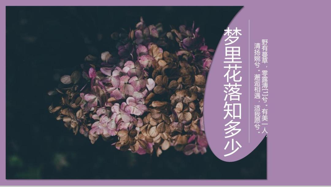 8090怀旧女生看的书,8090后小时候喜欢看的书