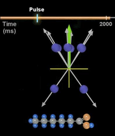 脑成像,脑成像技术是什么研究方法