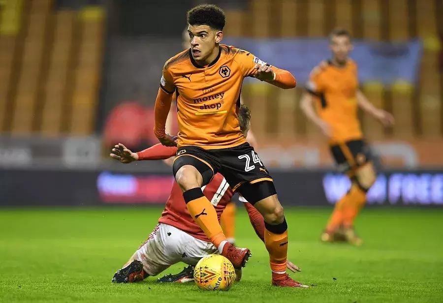 狼队产业,狼队的商业版图