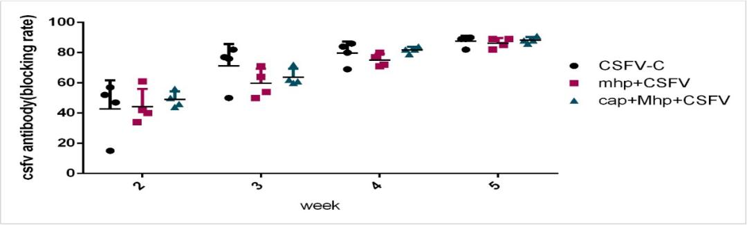 免疫联合治疗的优缺点,一针多防的猪用疫苗可靠吗