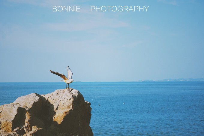 嵊泗列岛五天四夜旅游攻略,4月初嵊泗列岛2天一晚旅游攻略