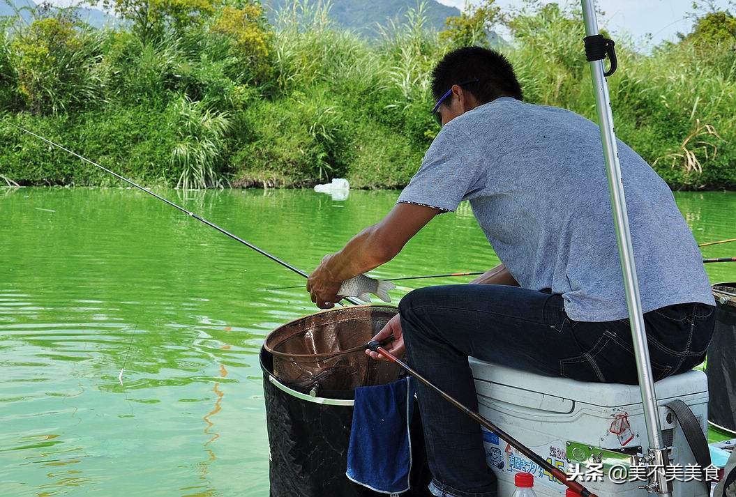 炖鱼怎么炖才更好吃更好看,大厨分享炖鱼小技巧