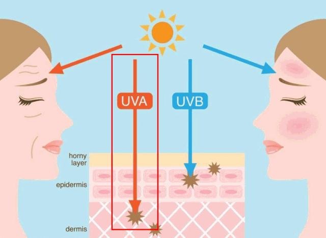 30岁想要皮肤好的快速方法,30岁混合皮肤用什么护肤品