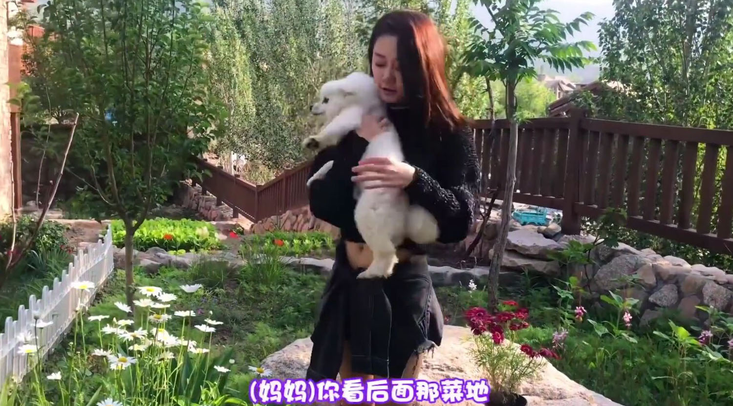 閮戞伜鑽у箷鍓嶄换 (閮戞伜鐢靛奖鍓嶄换鐗囨)