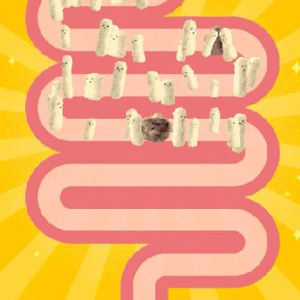 放屁太少是好事还是坏事,放屁少有哪些危害