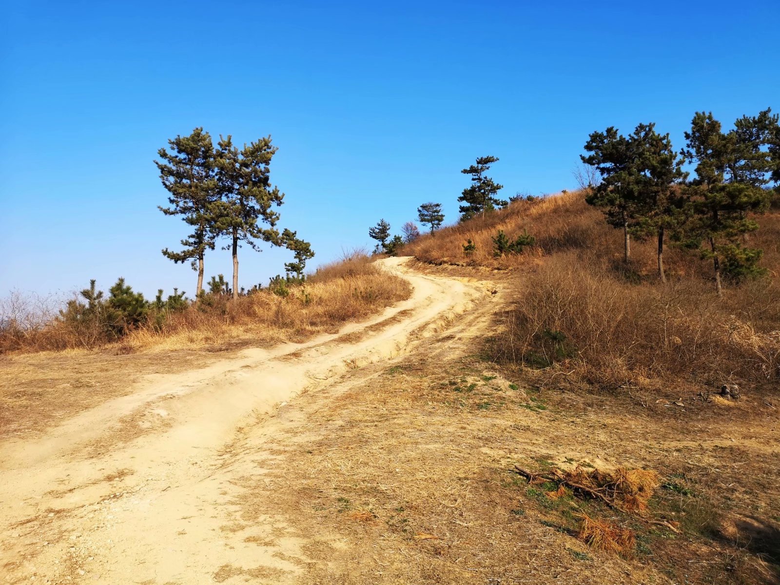 摩托周边旮旯游——探访蚌埠李楼鲁山寺遗址（上）