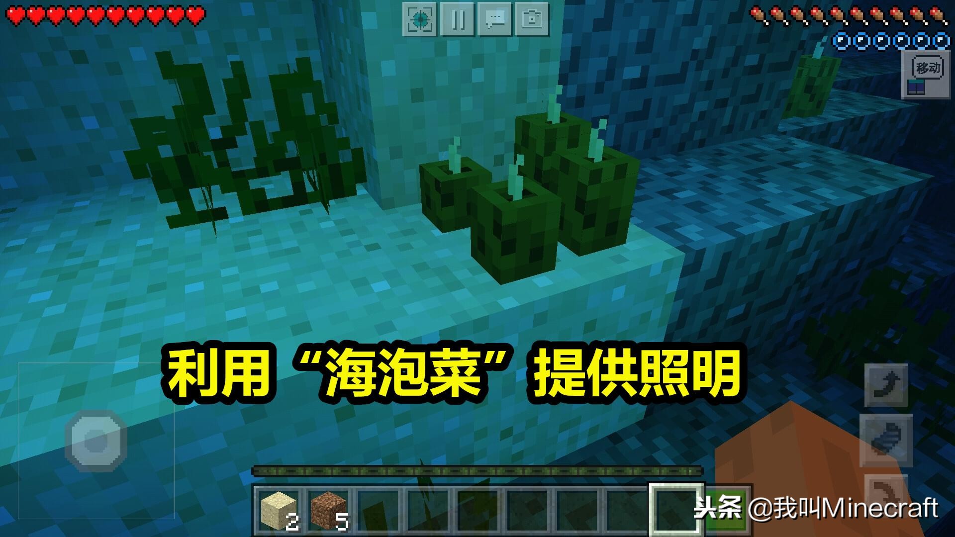 我的世界原版困难模式生存100天,我的世界原版生存第1天