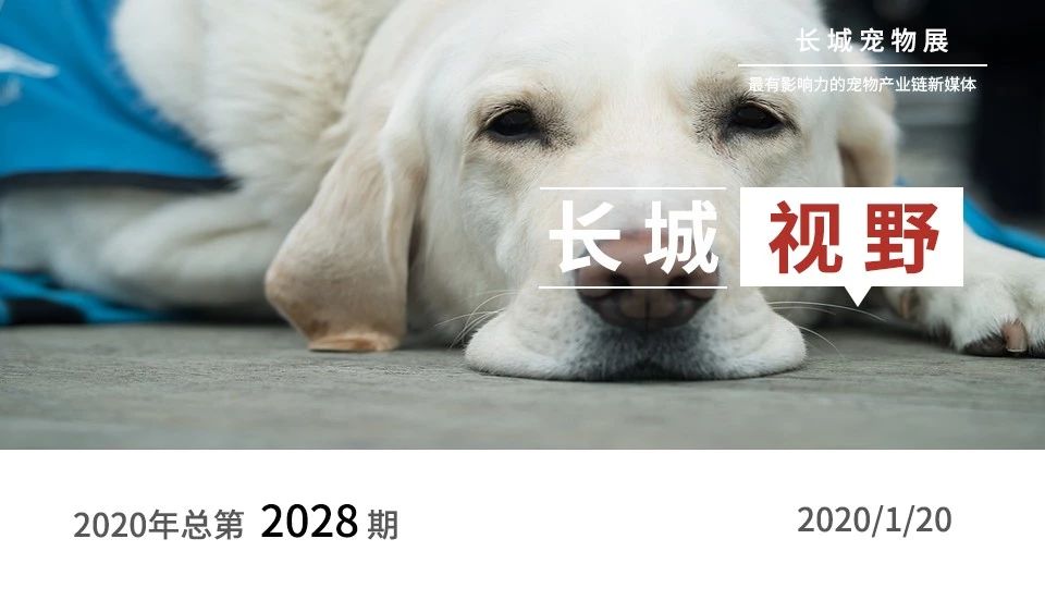 新瑞鹏深度分析,新瑞鹏和佳雯