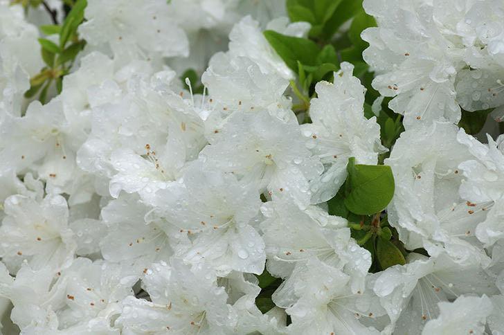 母亲太强势我不愿和她相处,母亲太强势从不考虑我的意见