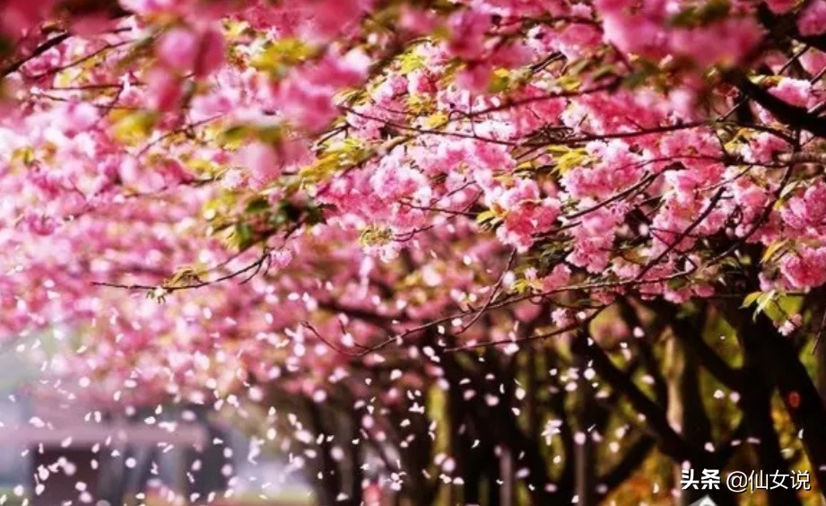 合肥北城还是长丰北城,合肥北城和肥西